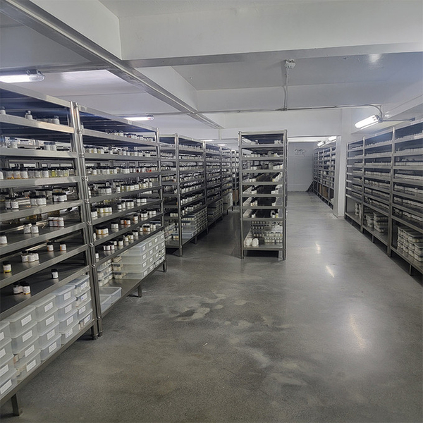 Guangzhou plant fragrance Co., Ltd linia produkcyjna producenta
