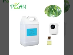 Eukalyptus Diffuser Fragrances Pure Natural France Olej z drzewa herbacianego