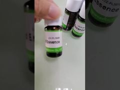 Zobacz Skoncentrowaną Esencję Zapachową Victoria's Secret Magic z Darmową Próbką  Demo Zgodne ze Standardami IFRA