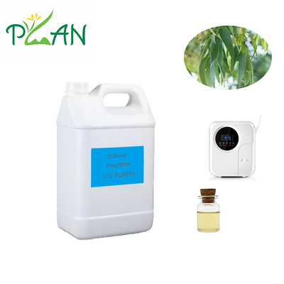 Eukalyptus Diffuser Fragrances Pure Natural France Olej z drzewa herbacianego