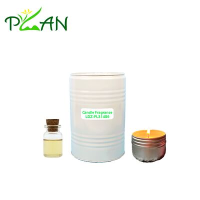 Bezpłatne próbki Home Spray Holiday Inn Perfume Essence Oil For Diffuser & Scented Candle& Reed Sticks surowiec